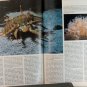 Natural History Magazine September 1990 Sea Spider & Starfish Cover