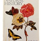 Natural History Magazine December 1992 Carribean Rose Cover / Caterpillar Story
