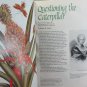 Natural History Magazine December 1992 Carribean Rose Cover / Caterpillar Story