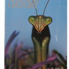 Natural History Magazine January 1993 Praying Mantis Cover / Growing up in Clan Natural History Magazine January 1993 Praying Mantis Cover / Growing up in Clan