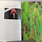 Natural History Magazine January 1993 Praying Mantis Cover / Growing up in Clan