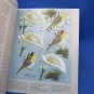 Wings & Things Water Garden Sherry C. Nelson 1994 Oil Painting Decorative Art