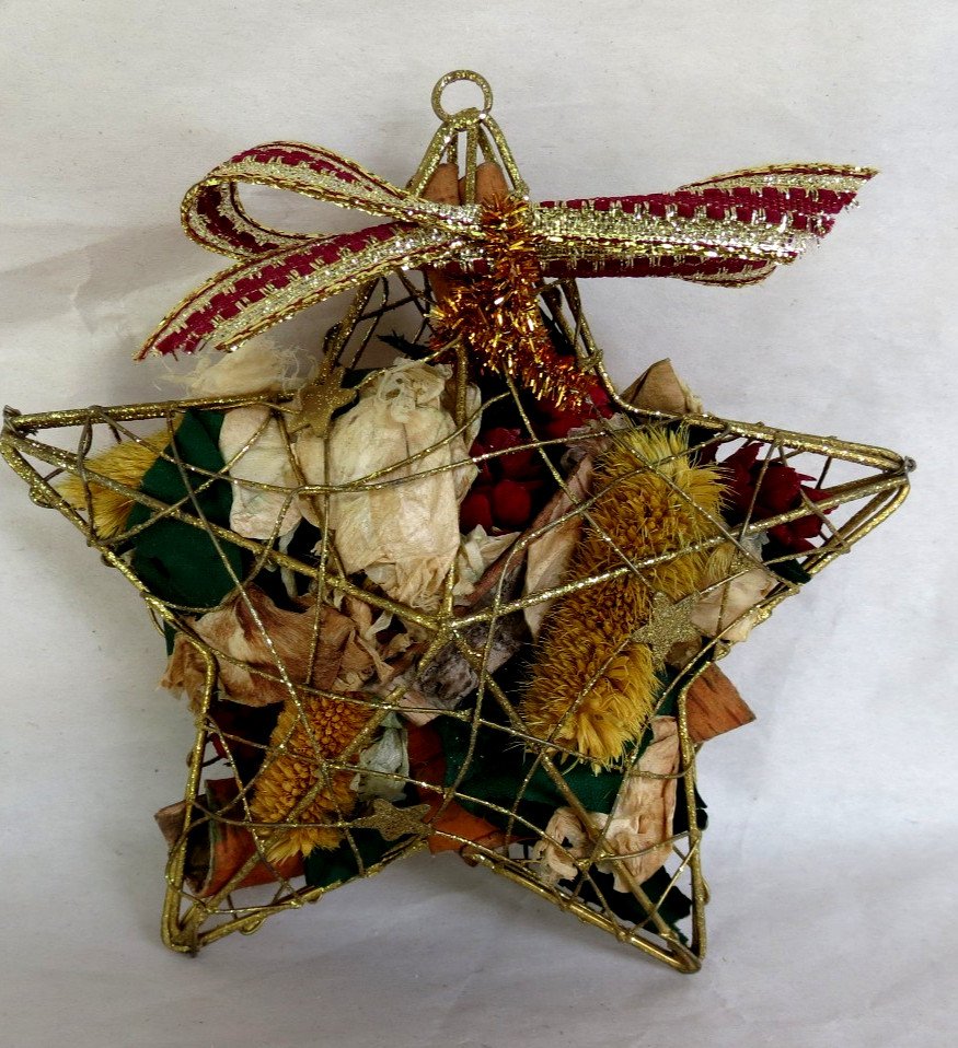 Unbranded Primitive Wire Mesh Star Christmas Ornament Filled w/Pressed Flowers