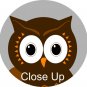 Fancy Owl on a Tree Branch Wall Decal -ec
