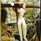 CAT POSTER HANG ON BABY FRIDAY'S COMIN' A311 1973 Joyce Fay Photo 23.5 x 34.5 inch OO.