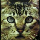 CAT FACE POSTER STUDIO ONE 4421 1972 Ed Simpson Photo 24 x 36 inches Orig Owner.
