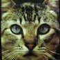 CAT FACE POSTER STUDIO ONE 4421 1972 Ed Simpson Photo 24 x 36 inches Orig Owner.