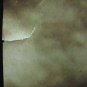 CAT FACE POSTER STUDIO ONE 4421 1972 Ed Simpson Photo 24 x 36 inches Orig Owner.