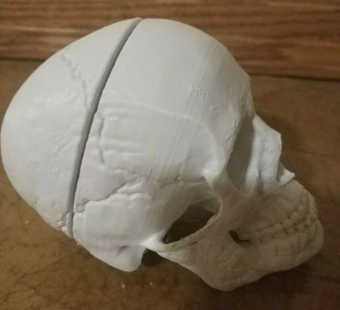 Nice Miniature 3d printed Human skull - 3 pieces.