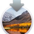 macOS 10.13 High Sierra DVD Operating System Full Install, Upgrade, Repair bootable media
