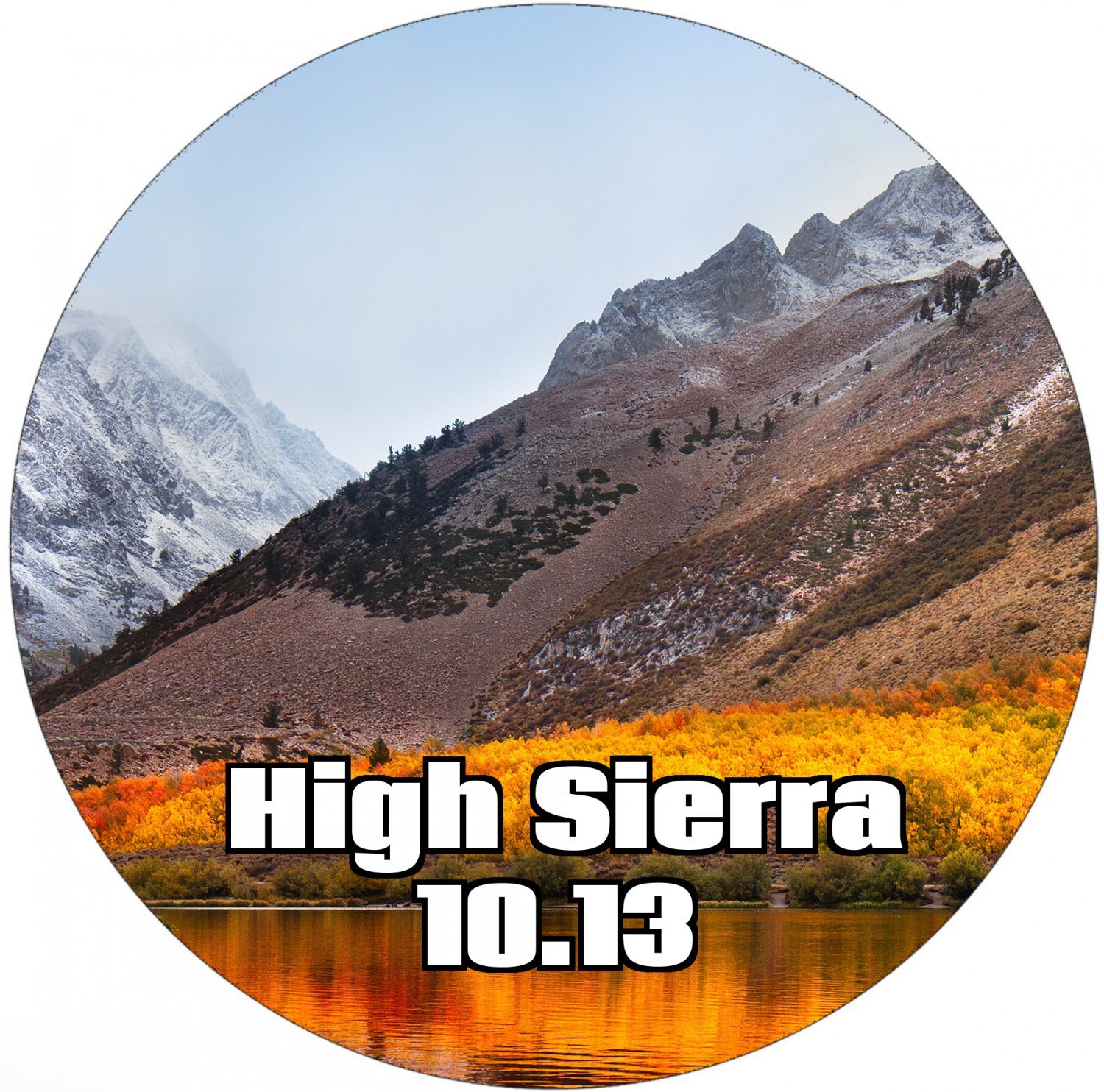 macOS 10.13 High Sierra DVD Operating System Full Install, Upgrade, Repair bootable media