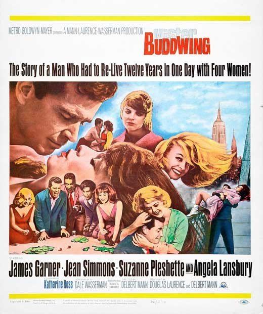 Mister Buddwing (1966) - James Garner DVD