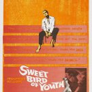 Sweet Bird Of Youth (1962) - Paul Newman DVD