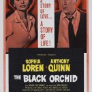 The Black Orchid (1959) - Sophia Loren DVD