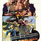 Big Bad Mama (1974) - Angie Dickinson  DVD
