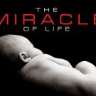The Miracle Of Life (1996) - Lennart Nilsson DVD