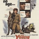 The Young And The Brave (1963) - Rory Calhoun  DVD