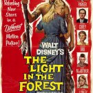 The Light In The Forest (1958) - Fess Parker  DVD