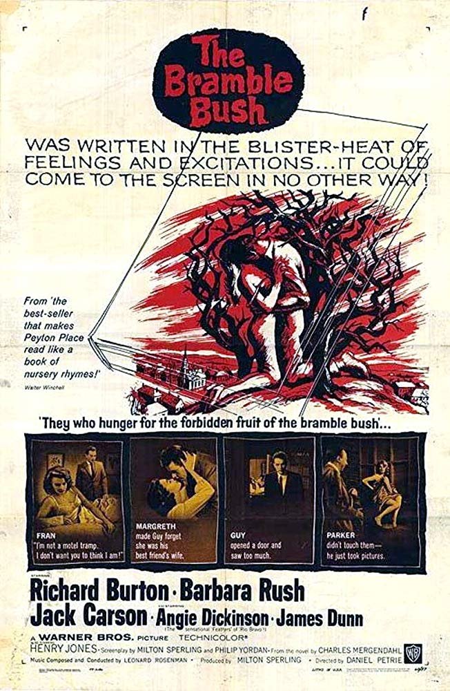 The Bramble Bush (1960) - Richard Burton  DVD