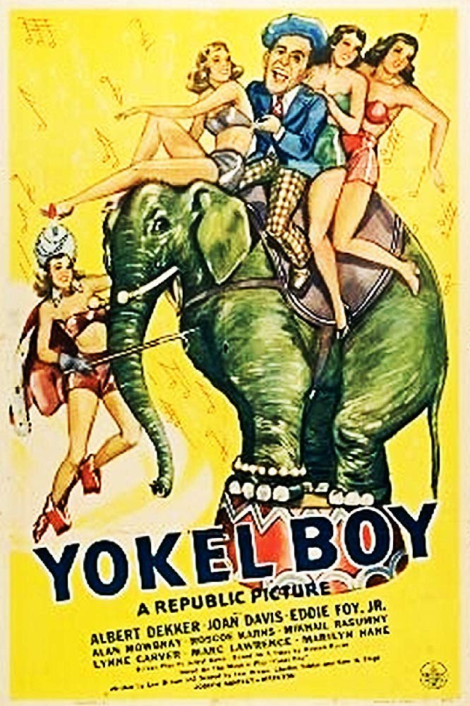 Yokel Boy (1942) - Albert Dekker DVD