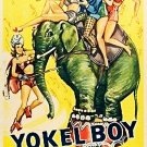 Yokel Boy (1942) - Albert Dekker  DVD