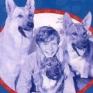 Rusty : The Son Of Rusty (1947) - Ted Donaldson  DVD