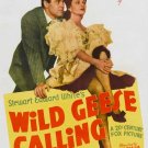 Wild Geese Calling (1941) - Henry Fonda  DVD