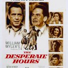 The Desperate Hours (1955) - Humphrey Bogart  DVD