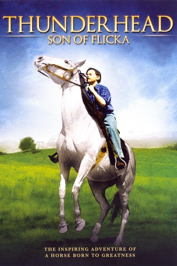 Thunderhead : Son Of Flicka (1945) - Roddy McDowall  DVD