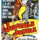 Juvenile Jungle (1958) - Corey Allen  DVD