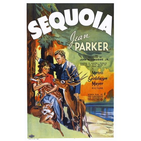 Sequoia (1934) - Jean Parker DVD