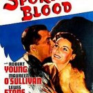 Sporting Blood (1940) - Robert Young  DVD