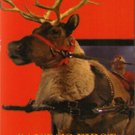 Christy, Santa´s First Female Reindeer (1996) - Bill Porter  DVD