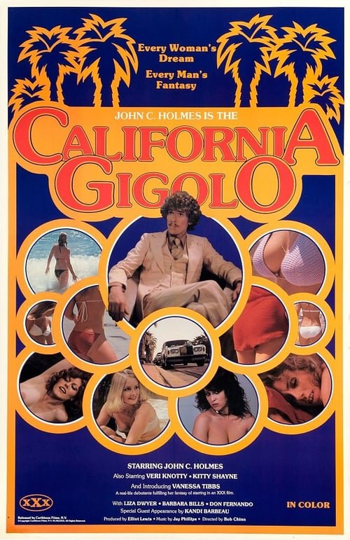 California Gigolo (1979) - John Holmes  DVD