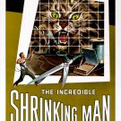 The Incredible Shrinking Man (1957) - Grant Williams  DVD  Colorized Version