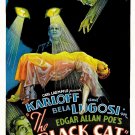 The Black Cat (1934) - Boris Karloff  DVD  Colorized Version