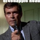 House On Greenapple Road (1970) - Janet Leigh  DVD