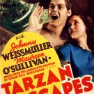 Tarzan Escapes (1936) - Johnny Weissmuller  Colorized Version  DVD