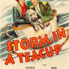 Storm In A Teacup (1937) - Vivien Leigh  Colorized Version  DVD