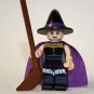 Witch Vampire Halloween Minifigure Custom