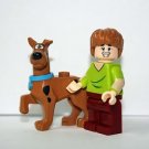 Scooby Doo and Shaggy Cartoon Movie set Minifigure Custom