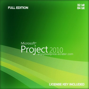 download microsoft project professional 2010