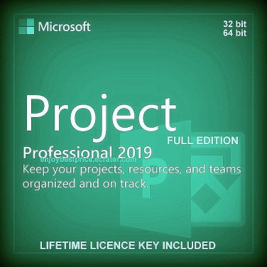 Microsoft Project Professional 19 32 64 Bit Lifetime Key Download