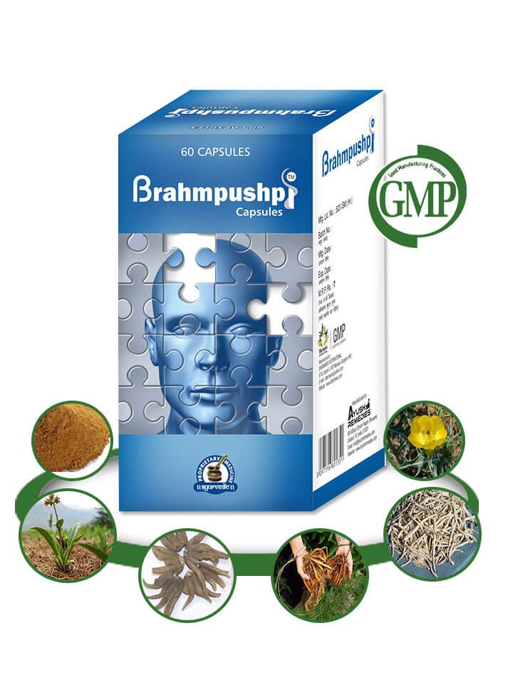 Herbal Memory Enhancer Pills - 120 Capsules