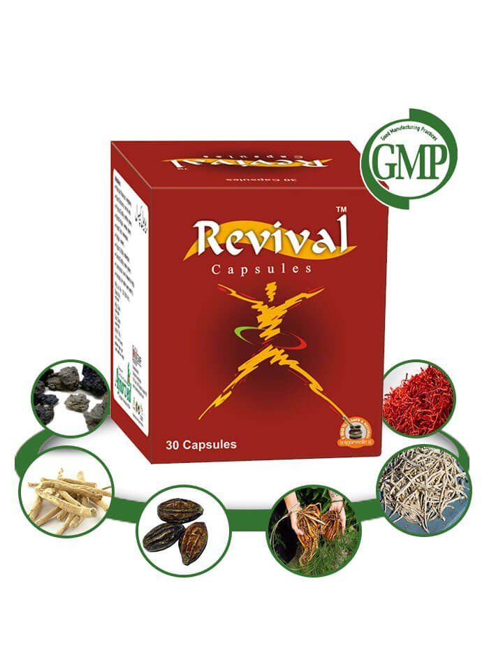 Herbal Energy Booster Pills - 60 Capsules