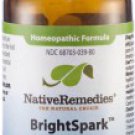 BrightSpark Tablets for Attention Problems & Hyperactivity