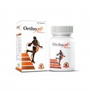 Organic Herbal Supplements for Arthritis - 120 Capsules - FREE SHIPPING