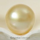SOUTH SEA PEARL Golden 11.19 mm Round Indonesia 2.03 g un-drilled