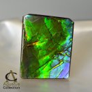 11.5 cts AMMOLITE Ammonite Rare AAA+ Gemstone Canada 21.29 x 16.51 x 2.64 mm