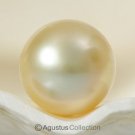 SOUTH SEA PEARL Golden 10.17 mm Off-Round Indonesia 1.48 g un-drilled